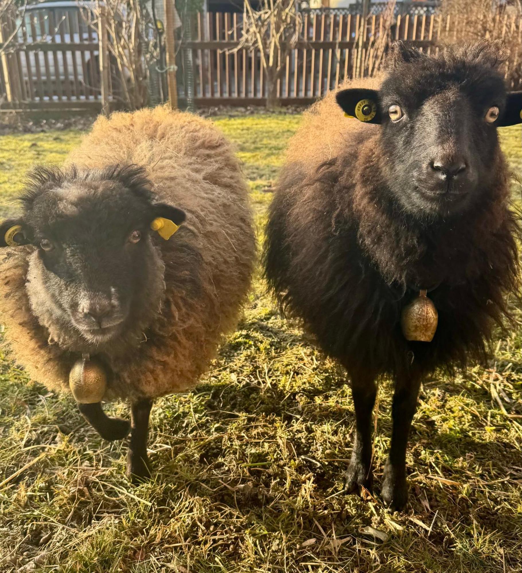 Ferienwohnung Seidenhuhn Kiefersfelden Eksteriør bilde